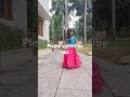 Kalyani Vacha Vacha Video Song The Family Superstar Vijay Devarakonda Telugu Song