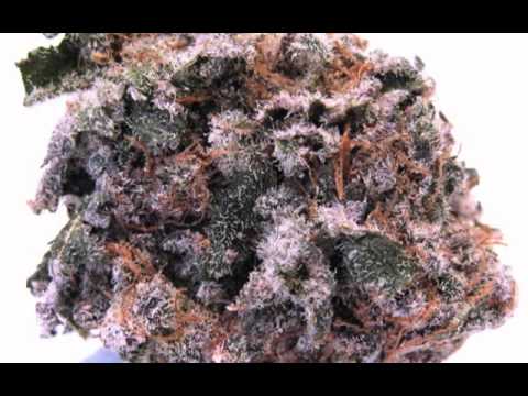 Aesop Rock - Commencement At The Obedience Academy (Original Version)