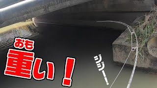 動画 無人島釣れなかったらご飯無しサバイバル 一気見 魚釣りチャンネル