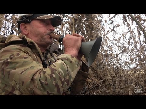 Охота на гуся. Вельск, весна 2019