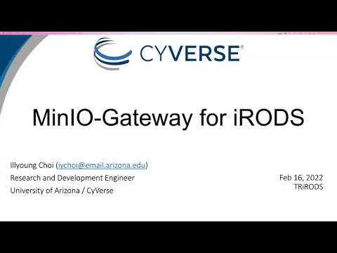 TRiRODS: MinIO-Gateway for iRODS