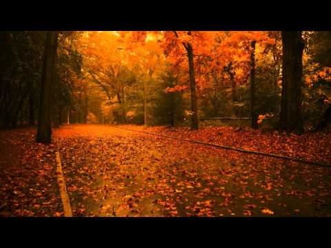 Freefall - Skydive (Remix by Jamie Myerson)