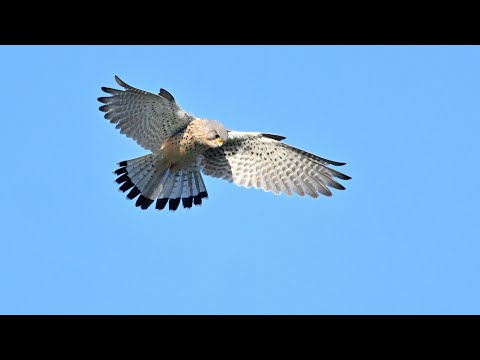 Monatsfotos Mai 2023 als Bildershow