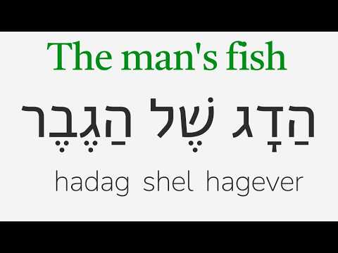 Hebrew Basics Practice and Review #3: Lessons 8 - 11