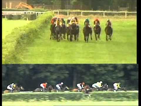 Galopprennbahn Dresden, 02.09.2012 - 4.Rennen