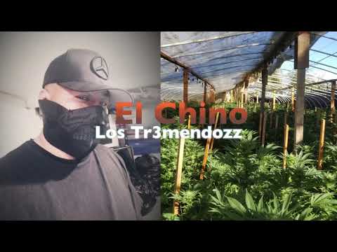 El Chino de California - Los Tr3mendozz