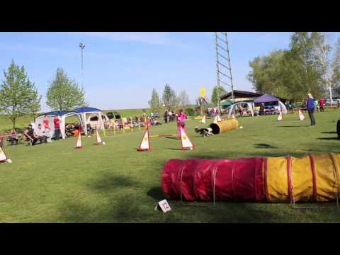 Agility Ptuj 25.4.2015
