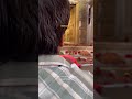 Jab Tujhse Na Suljhe Ye Tere Uljhe Hue Dhande Jaishreeshyam Khatushyam Khatu Khatudham Reels