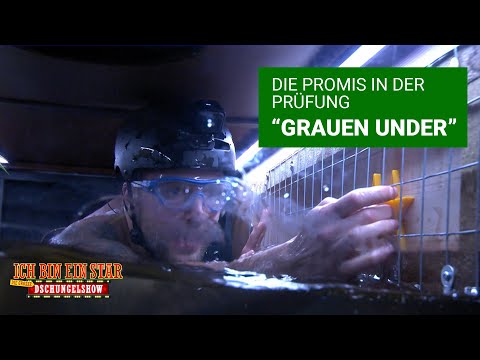 Prüfung Tag 11 - "Grauen Under" | Die große Dschungelshow 2021