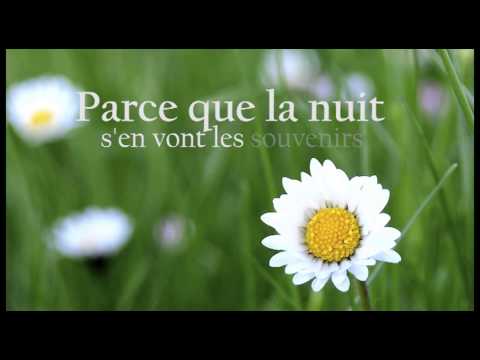 Les Marguerites contre Alzheimer / Parce que la nuit (Lyric Video)