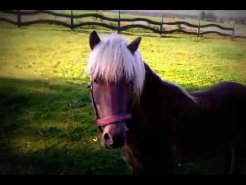 Agroturystyka Siedlików