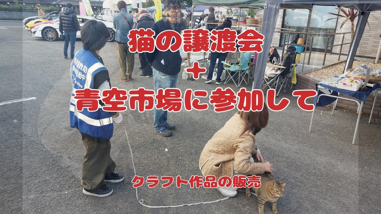 2024 年12月　猫の譲渡会における青空市場への出店の様子