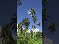 Fasitoouta Apr 2019