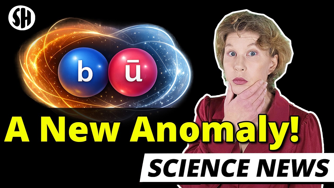 A New Anomaly in Particle Physics!