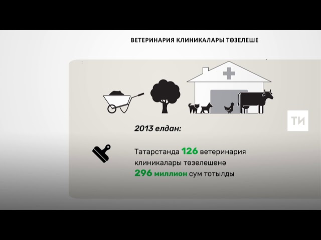 2013 елдан Татарстанда 126 ветеринария клиникасы төзелгән