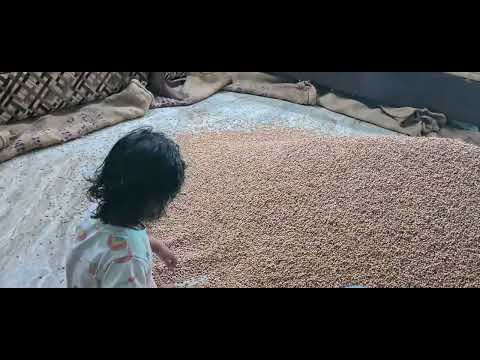 shalvi with chirongi dryfruit