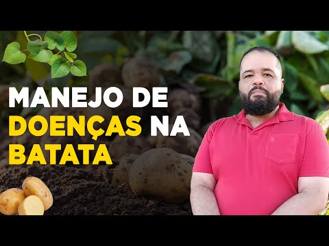 , title : 'COMO MANEJAR DOENÇAS NA CULTURA DA BATATA'