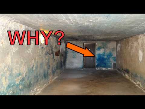 Why Are the Walls of Nazi Gas Chambers Blue?