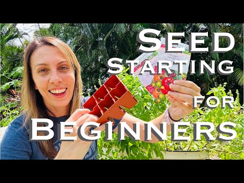 Step by Step: Seed Starting for Beginners