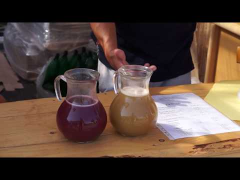 Sobranský jarmok 2017 - Pozvánka