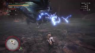 [MHW:IB PS版]アルバ練習　アイスボーン 参加〇