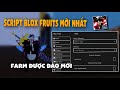 Cách Hack Blox Fruits Update 20 Trên Điện Thoại Update Menu No Key Full Tính Năng Farm Lever Đảo Mới