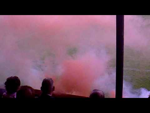 opkomst seolto tegen de meeuwen