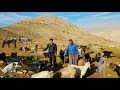 Extreme Nomad Life Herding Goats Through The World S Most Dangerous Mountain Trails