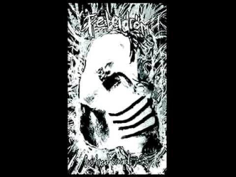 Feberdröm - Words of a Headless Prophet