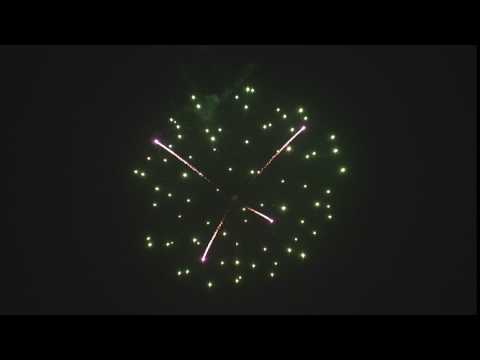 3 - Coconut pistil and green peony