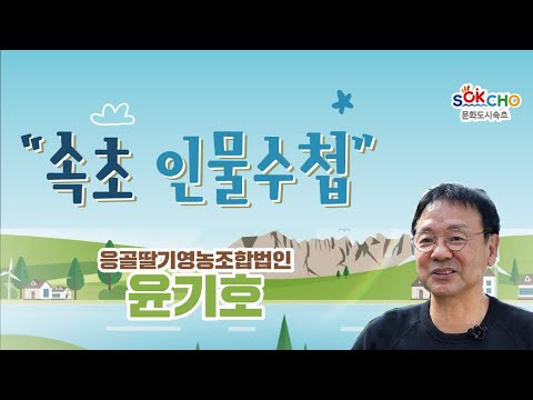 [속초인물수첩 시즌 2] 응골딸기영농조합법인 윤기호 대표
