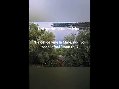 Noi gresim in multe feluri - Nicolae Moldoveanu