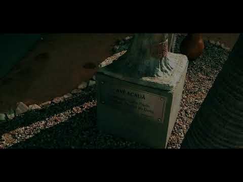 Daniel Vicente - #BDStyle / FREE STEP