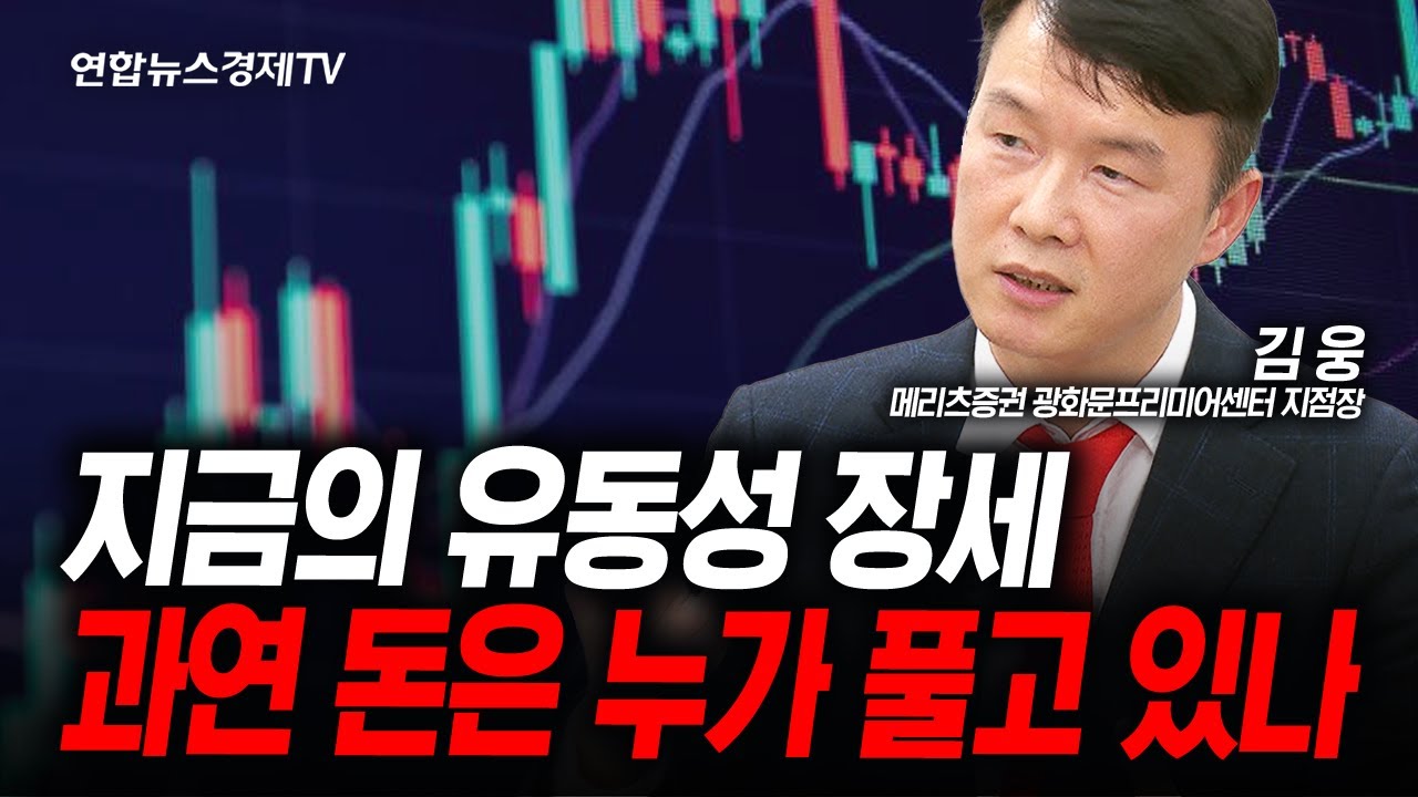 지금 빅테크들의 주가 수준 과연 합당한가? (김웅) | 인포맥스라이브 251113