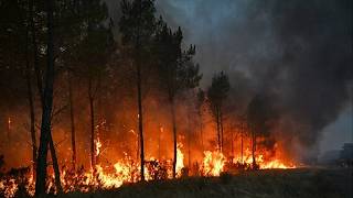 Los incendios de Madrid y Ávila remiten tras arrasar 77.000 hectáreas