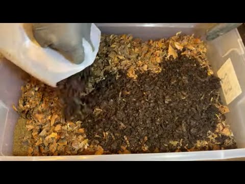 Red Wiggler Breeder Bedding Recipe - the BEST!