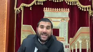 Les Mesures De L’Homme