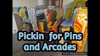 Picking for Pins and Arcades in East Tennessee