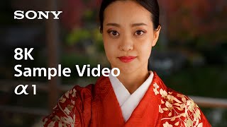 Video 0 of Product Sony A1 (Alpha 1) Full-Frame Mirrorless Camera (2021)