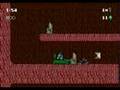 The Tunnels Beneath The Woods Kid Chameleon