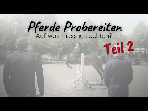 Probereiten: Auf was sollte ich achten? Was muss ich testen? | #2 Pferdekauf mit Plan