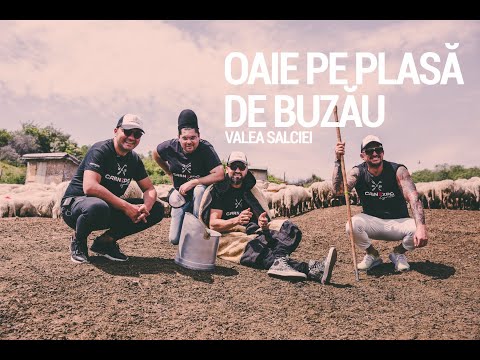 CARNEXPO Grill TV - Oaie pe plasa de Buzau // Valea Salciei