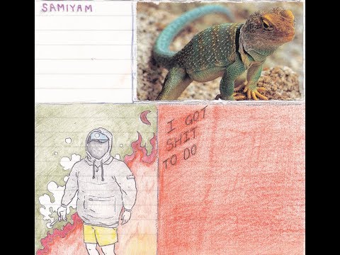 Samiyam - "I Got Shit To Do" (Full Album Stream | 2019)