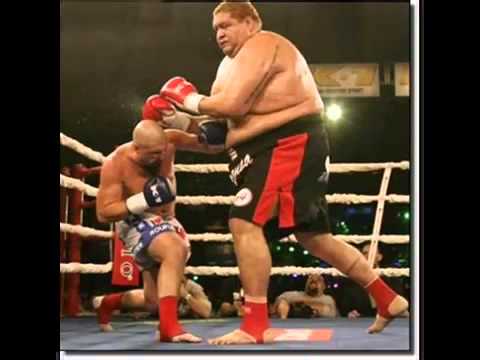 Jiu Jitsu Ryan Gracie Minotauro Belfort    apaga mais nao bate