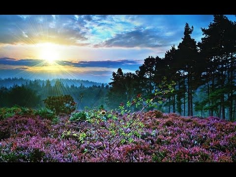 ARUNALU PATHIRENA HIMIDIRI YAME !!!