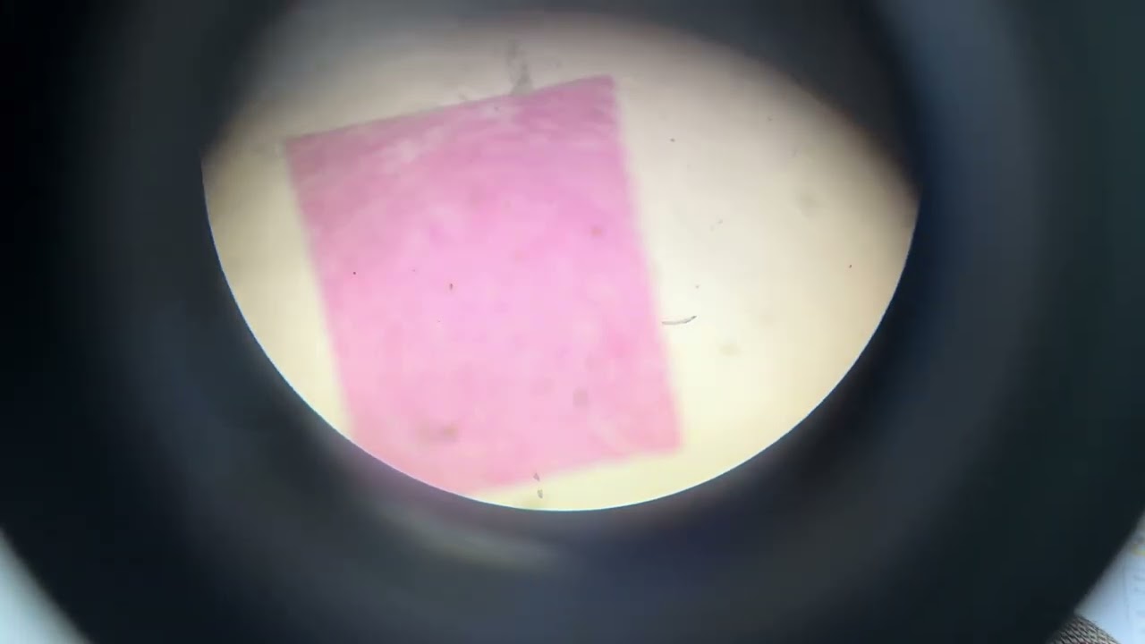 How to use a Microscope with Confidence