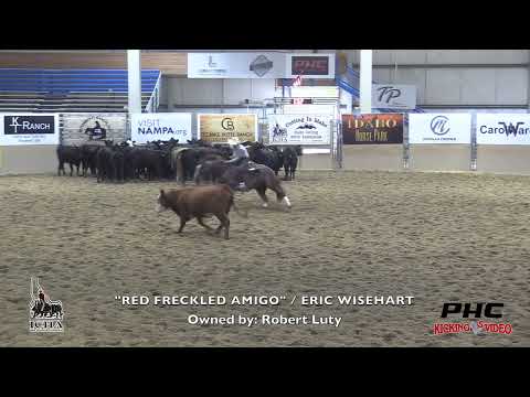 2022 Idaho Open Futurity Champion Eric Wisehart Red Freckle Amigo