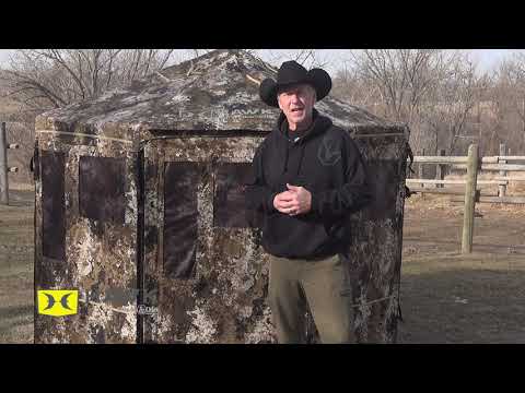 Hawk Down And Out Blinds