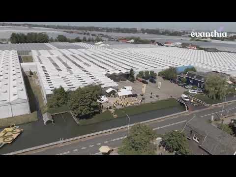 Up in the air with Evanthia