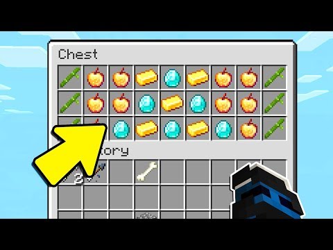 ABBIAMO TROVATO UN TESORO NELLA VANILLA INSIEME!!